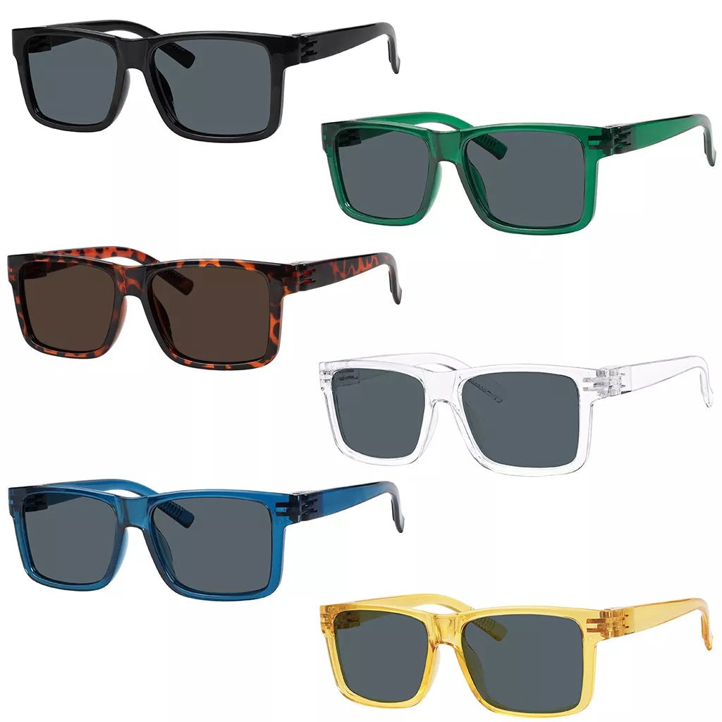 6 Pack Sunglasses Metalless Screwless NR2142Seyekeeper.com